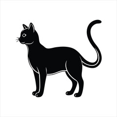 black cat vector illustration