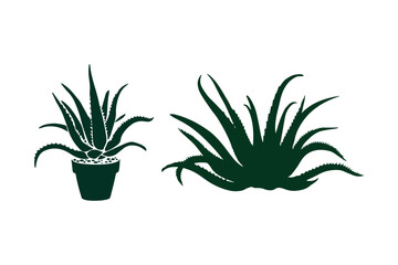 Aloe Vera Plant SVG Succulent Silhouette Clipart for Cricut and Garden Crafts