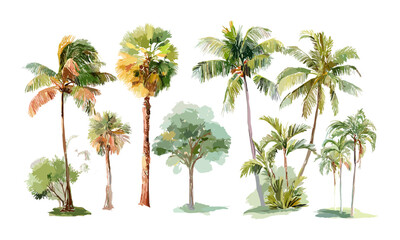 Watercolor palm tree vector illustration, exotic beach foliage, tropical jungle leaves, greenery clip art, coastal summer decor, boho nature painting, tropical tree aesthetic. © aura studio