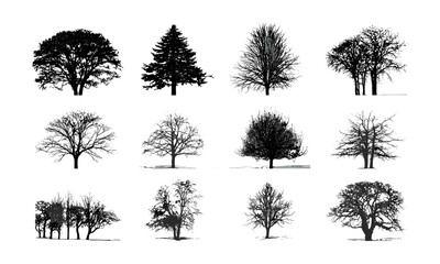 Obraz premium Winter tree silhouettes, detailed bare branches, vector illustration, scenic forest outlines, cold season nature, atmospheric landscape, natural wilderness, serene outdoor environment.