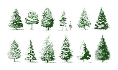 Vector illustration Christmas Trees pictogram set, white background, holiday symbols, winter festival graphics, pine tree icon collection, festive season design elements.