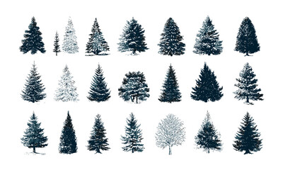 Obraz premium Christmas Trees pictogram set white bg, vector illustration, winter holiday icons, festive symbols, Xmas decoration, pine tree silhouette, seasonal design elements.