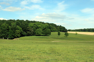 Fototapeta premium Wentworth Woodhouse Landscape