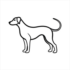 vector illustration of a dog