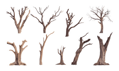 Dead tree isolated cutout collection, vector illustration for design use, bare tree silhouette, winter forest theme, natural wood texture, rustic landscape, seasonal foliage, organic shape.