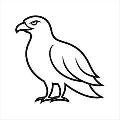 eagle isolated on white background