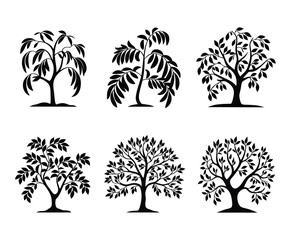each Tree Silhouette Template Set for Vector Design