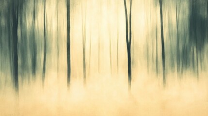 Obraz premium Ethereal Misty Forest Landscape with Tall Trees and Soft Light