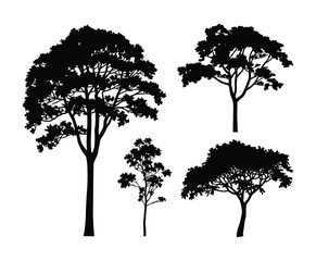 Fototapeta premium Teak Tree Silhouette EPS Illustration on Clean Background