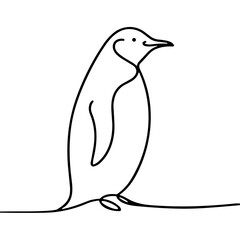 Line art drawing of a penguin standing gracefully  