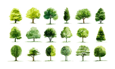 Fototapeta premium Tree icon set with various green foliage, forest and nature elements collection, vector illustration, eco friendly design, green landscape, park theme, natural environment, botanical, cutout.