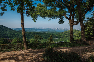 West Lake view through 2 trees in the mountain
