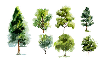 Collection of watercolor green trees, transparent background, hand drawn leaves, vector illustration, forest plants, tree clip art, natural foliage, artistic trees, green elements.