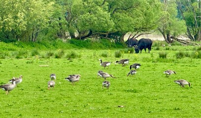 Biosph&auml;re Bliegau 