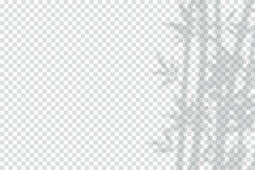 Bamboo Shadow Overlay Vector. Realistic Bamboo Shadow Overlay Effect. Elegant Bamboo Shadow Overlay Vector Illustration for Nature, Zen, Spa, Botanical, Poster, Web, Mockup, Minimal Design