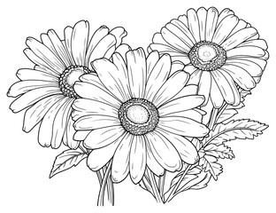 PNG Dasies art illustration drawing.