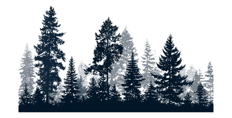 Fototapeta premium Silhouette of evergreen coniferous trees, pine, fir, cedar, Scotch fir, isolated separate trees, vector illustration, natural landscape, forest wilderness, outdoor adventure, timber forest.