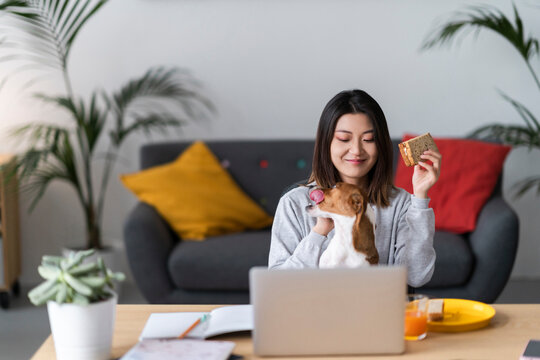 A woman holds a sandwich while her dog looks on longingly. They are relaxing at home, perhaps taking a break from work or studying, enjoying a snack together.