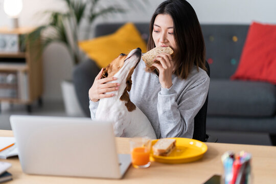 A woman enjoys a sandwich at her desk, holding her dog close. The dog gazes longingly at the food, hoping to share the snack. It's a sweet moment of companionship during a meal break.