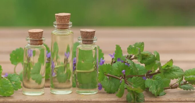 bugleherb essential oil in  beautiful bottle on wooden background