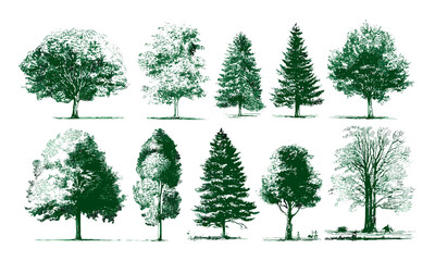 Fototapeta premium Vector illustration of green tree silhouettes, isolated hand drawn trees, forest outlines, natural landscape icons, eco friendly design elements, woodland shapes, botanical graphics.