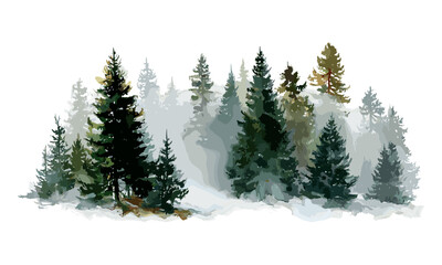 Winter coniferous forest vector illustration, hand drawn spruce and pine trees, snowy rural landscape, holiday Christmas design, outdoor nature, fir trees covered in snow.