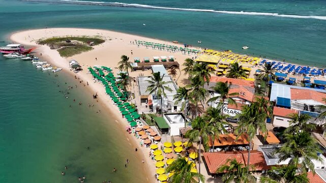 Gunga Beach In Maceio Alagoas Brazil. Breathtaking Aerial View Of A Lush Tropical Coastline Scenery. Coast Horizon Seaside Summertime. Seaside Beach Panorama. Maceio Alagoas.