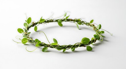 A delicate, handcrafted circlet or wreath made of fresh green leaves and twisted vines is beautifully showcased against a clean, bright white background. 