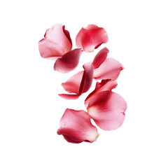 Falling Rose Petals on Transparent Background - Romantic and Elegant Floral Image