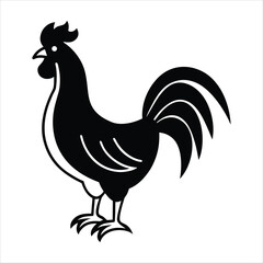 rooster isolated on white background