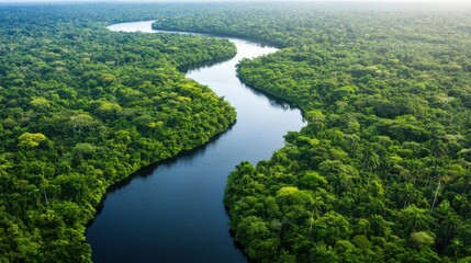 Obraz premium Scenic Aerial View of Serene River Winding Through Lush Forest