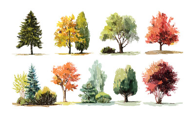 Set of hand drawn trees and bushes, autumn watercolor sketches for landscape and garden design, vector illustration, isolated on white, seasonal nature, botanical elements, environment design. © aura studio