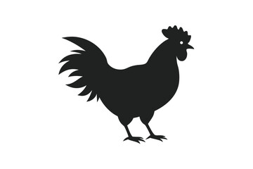 rooster isolated on white background