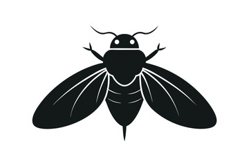 black and white beetle