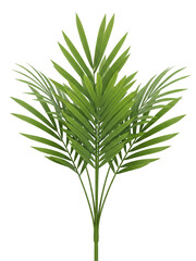 Fototapeta premium A short branch of areca palm with multiple fine green leaflets extending symmetrically, tropical plant realism, isolated on a transparent background.