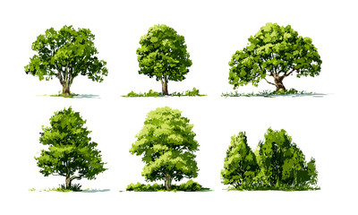 Vector illustration of green tree isolated on white, landscape architecture, garden planning, ecological design, natural environment, foliage, sustainable outdoor spaces, botanical theme.