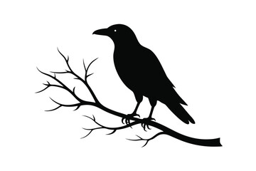 crow on a branch