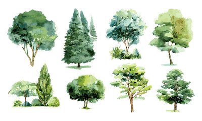 Fototapeta premium Vector illustration of watercolor green tree isolated on white background, botanical elements for garden and environment, landscape design, spring section, nature drawing.