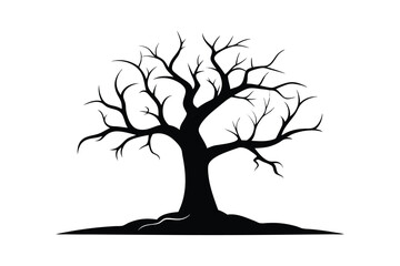Fototapeta premium tree with roots