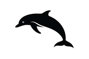 dolphin isolated on white background