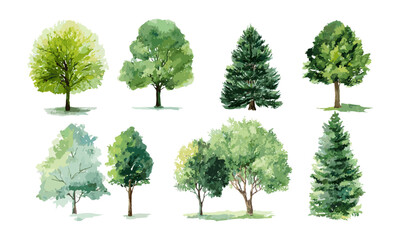 Vector illustration of watercolor green trees collection, natural landscape elements, eco theme, wilderness background, lush foliage, summer trees, rustic nature artwork, plant decor.