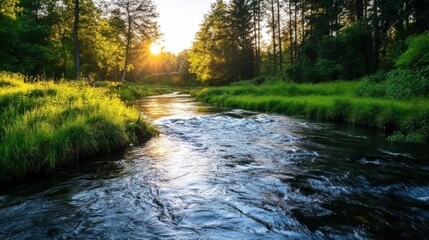 Fototapeta premium Serene River Flowing Through Lush Green Landscape at Sunset
