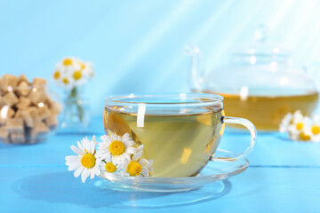 Delicious chamomile tea in glass cup, fresh flowers and brown sugar on light blue wooden table, closeup
