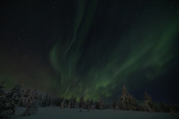 Beautiful picture of massive multicolored green vibrant Aurora Borealis, Aurora Polaris, also know as Northern Lights in the night sky over winter Lapland landscape, Finland, Scandinavia