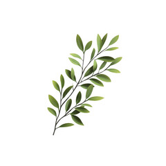 Fototapeta premium Lush Green Sprig of Leaves on Transparent Background - Botanical Illustration