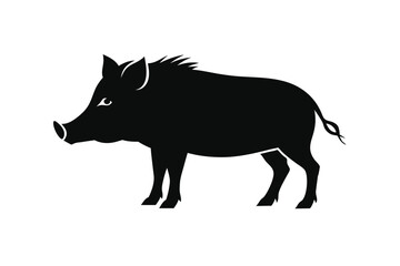 wild boar vector illustration