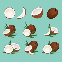 Set of whole and sliced coconuts with palm leaves in vector style