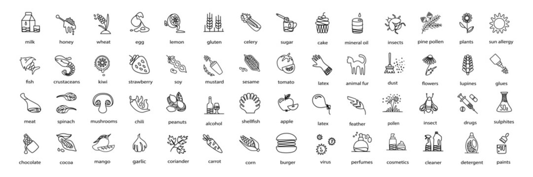  Vector set of outline icons representing common allergens: food, environmental, chemical, cosmetic. Perfect for use in packaging, health and safety labeling, medical infographics, allergy guides.