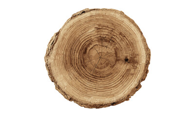 Vector illustration of tree stump, slice showing trunk rings, cross-section wood texture, natural pattern, forest tree cut, lumber detail, bark circle, transparent background.
