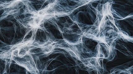 Fototapeta premium Abstract Texture of Fine White Web-Like Fiber on Dark Background